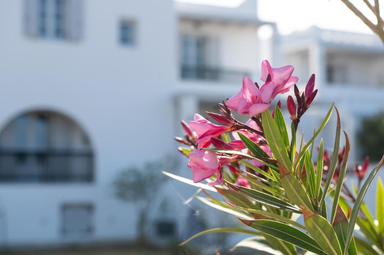 Sea Lilies Suites Pláka Exterior foto
